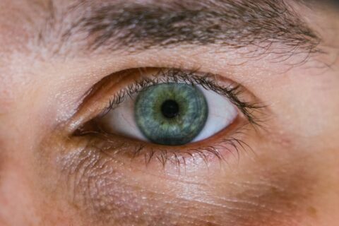 eye